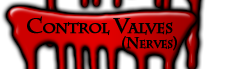 Control Valves (